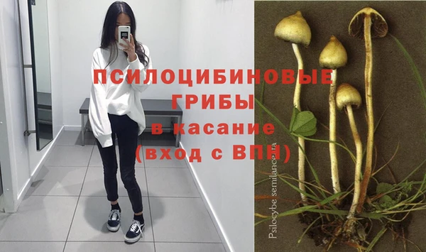 прущая мука Липки