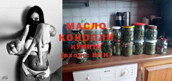 крисы Магас